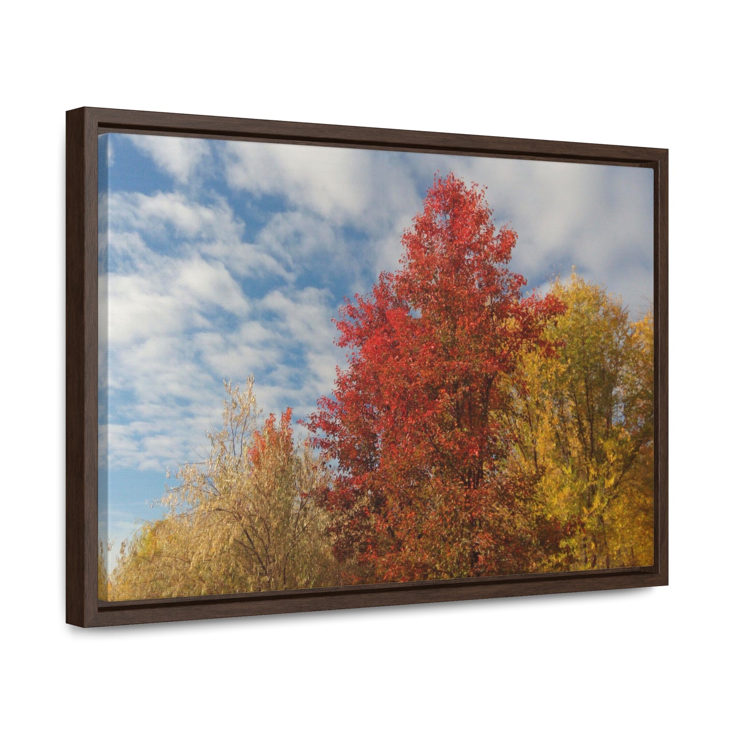 Autumn Sky Gallery Canvas Wraps Framed