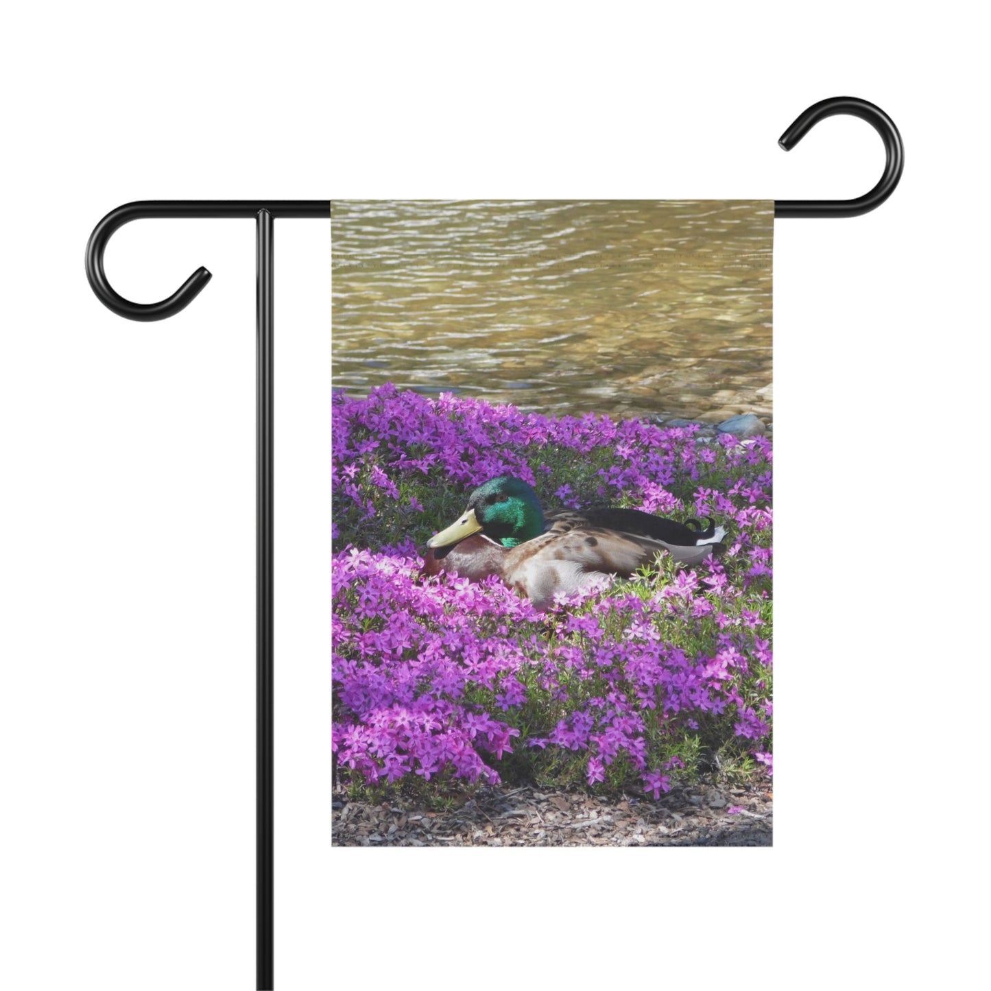 Duck Resting In Flowers Garden & House Banner