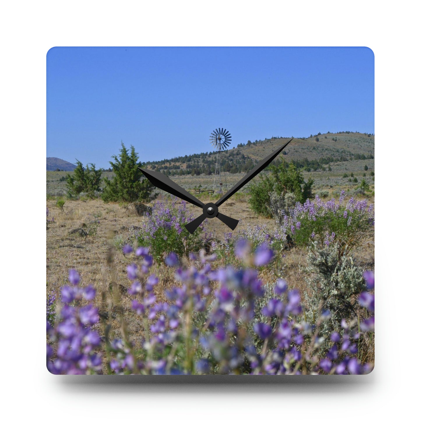 High Desert Lupine & Windmill Acrylic Wall Clock
