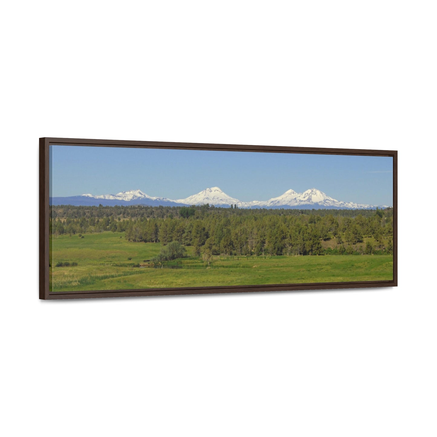 Mountain Meadow Gallery Canvas Wraps Panoramic Framed