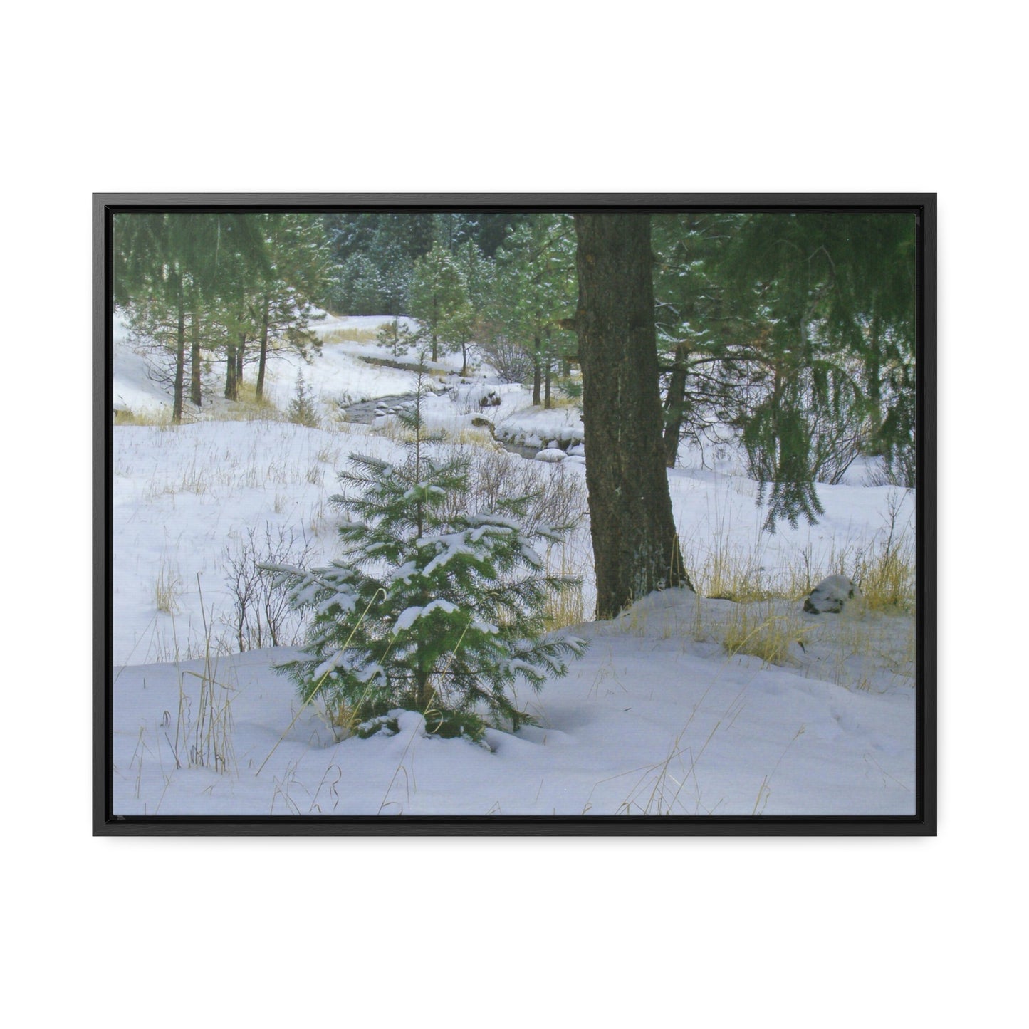 Christmas Tree Creek Gallery Canvas Wraps Framed