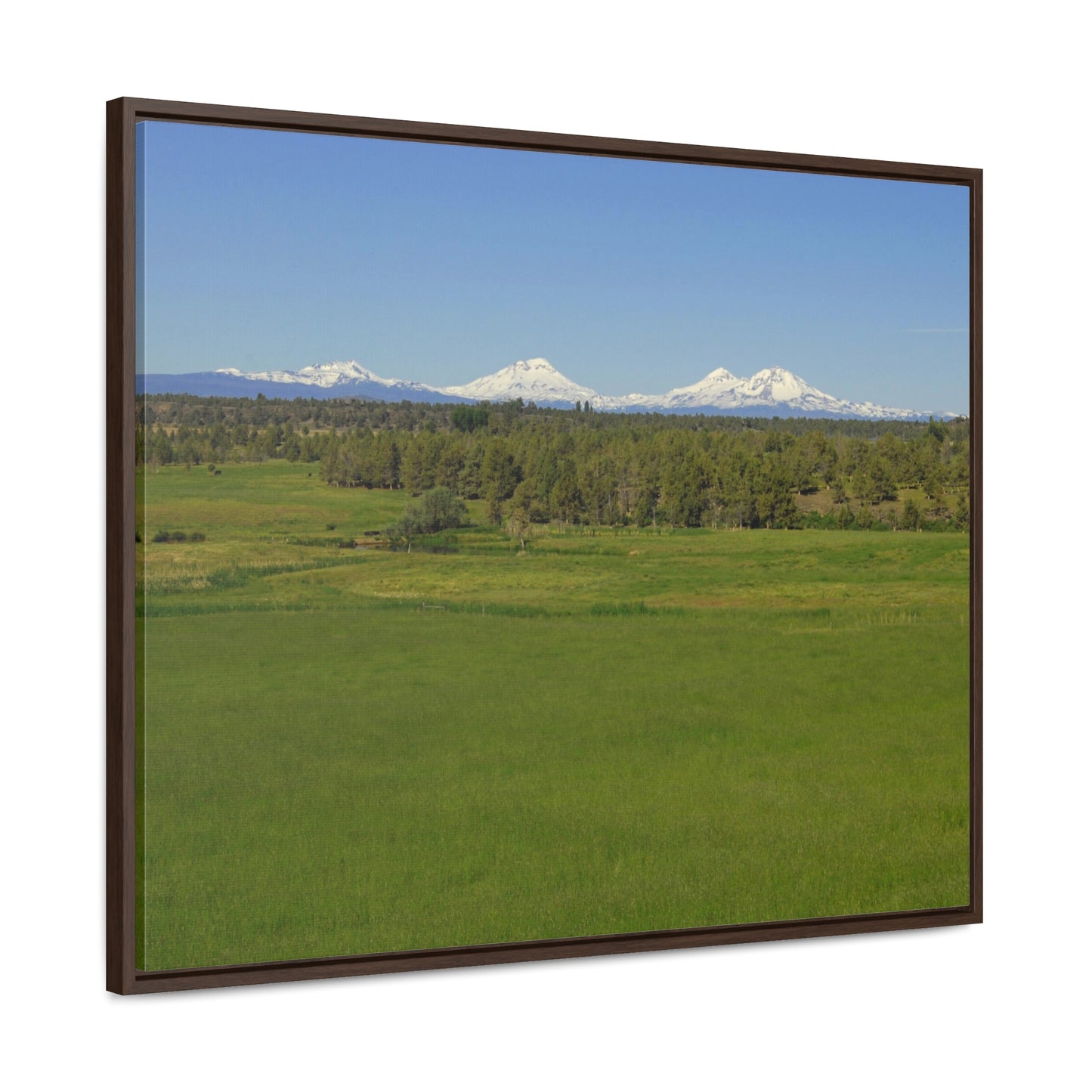 Mountain Meadow Gallery Canvas Wraps Framed