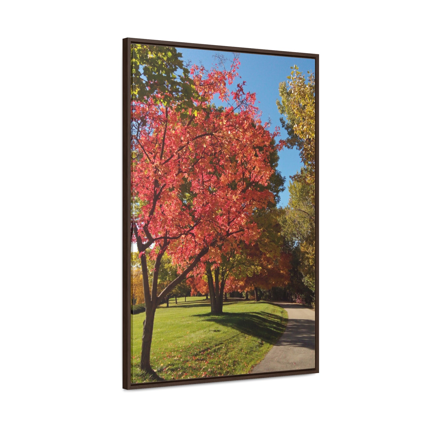 Autumn Glow Gallery Canvas Wraps Framed