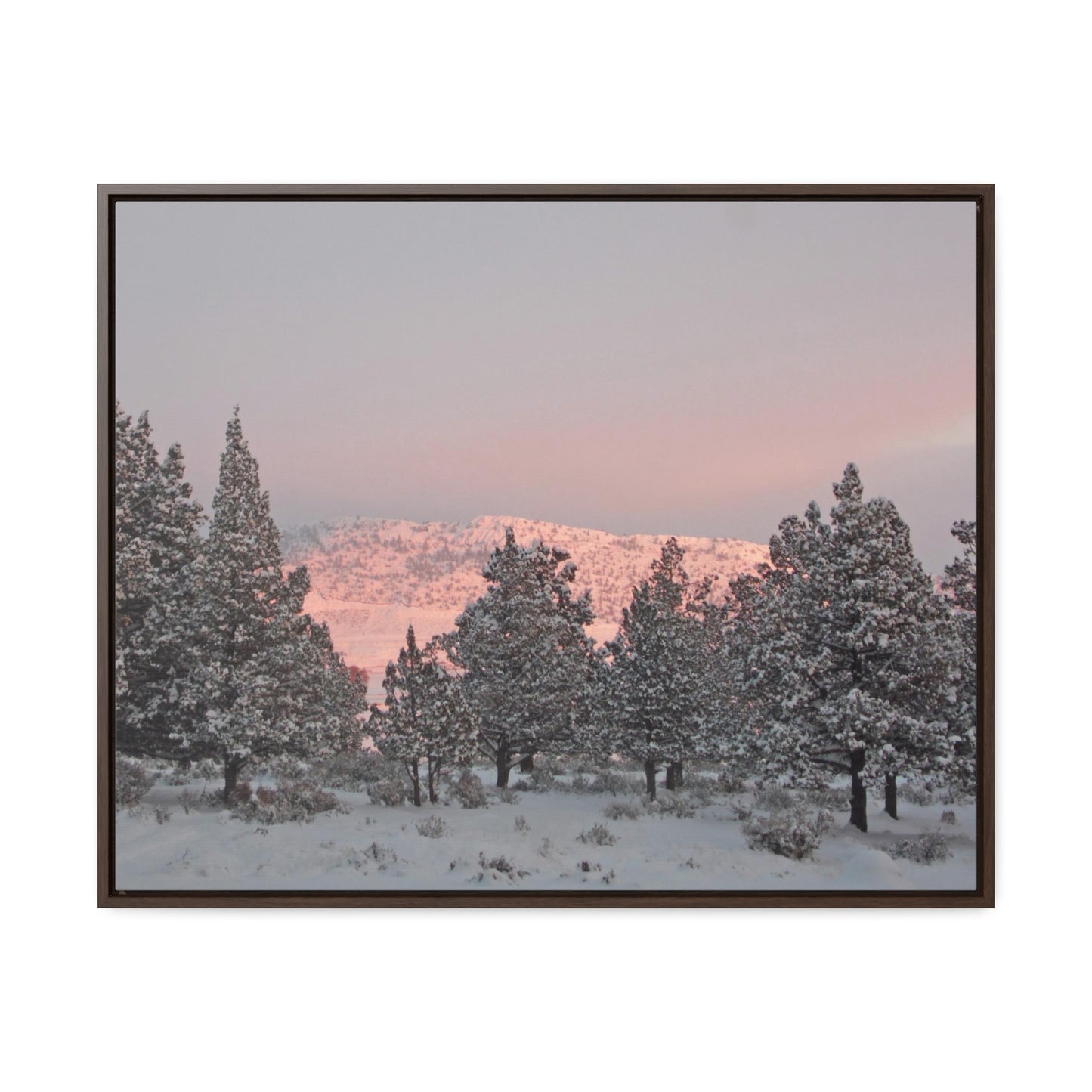 Winter Sunset Gallery Canvas Wraps Framed