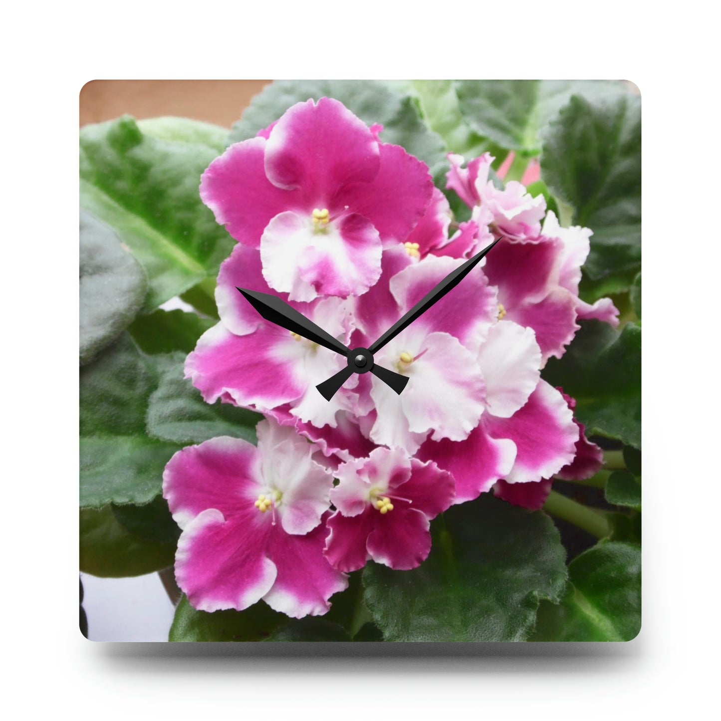 African Violet Acrylic Wall Clock