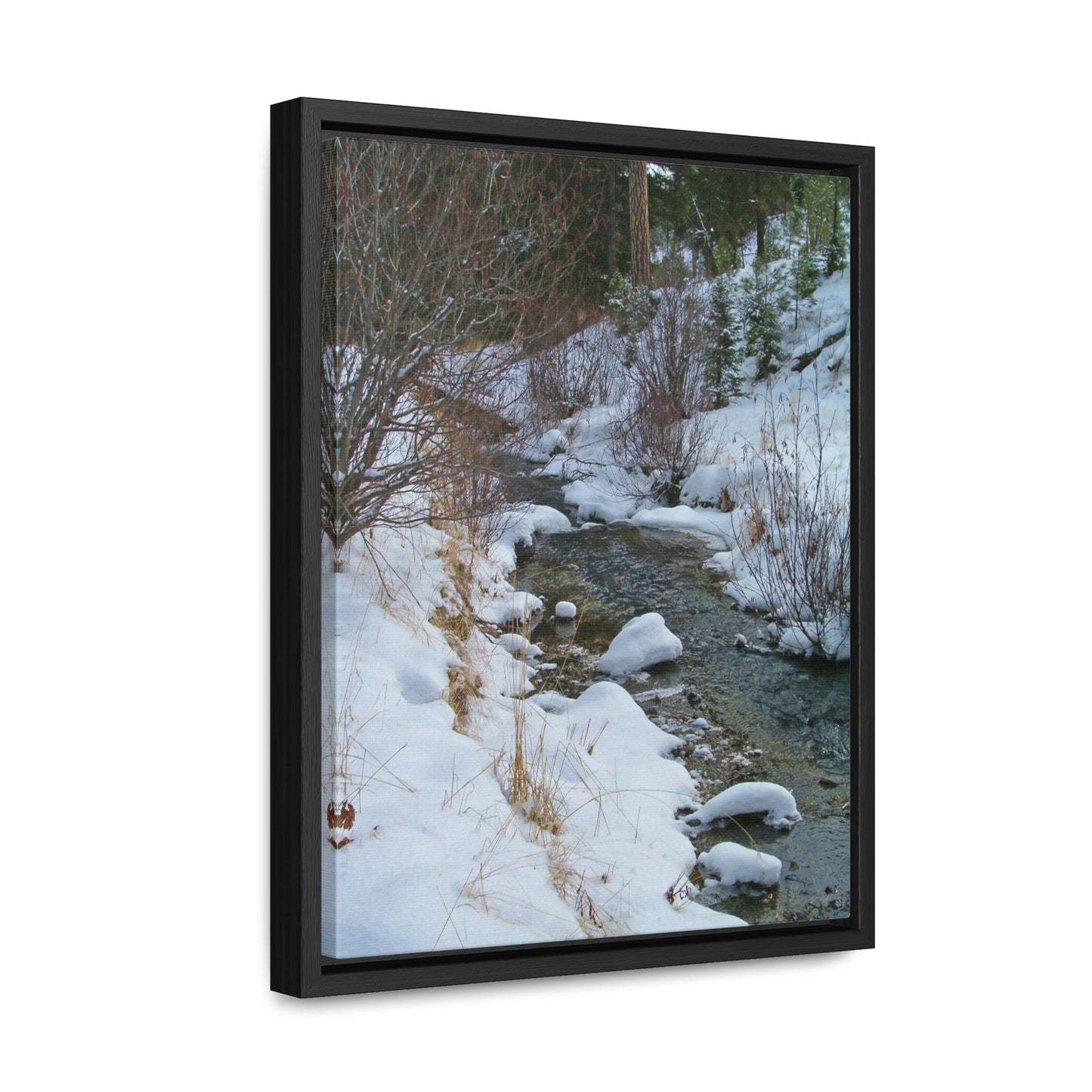 Snowy Creek Gallery Canvas Wraps Framed