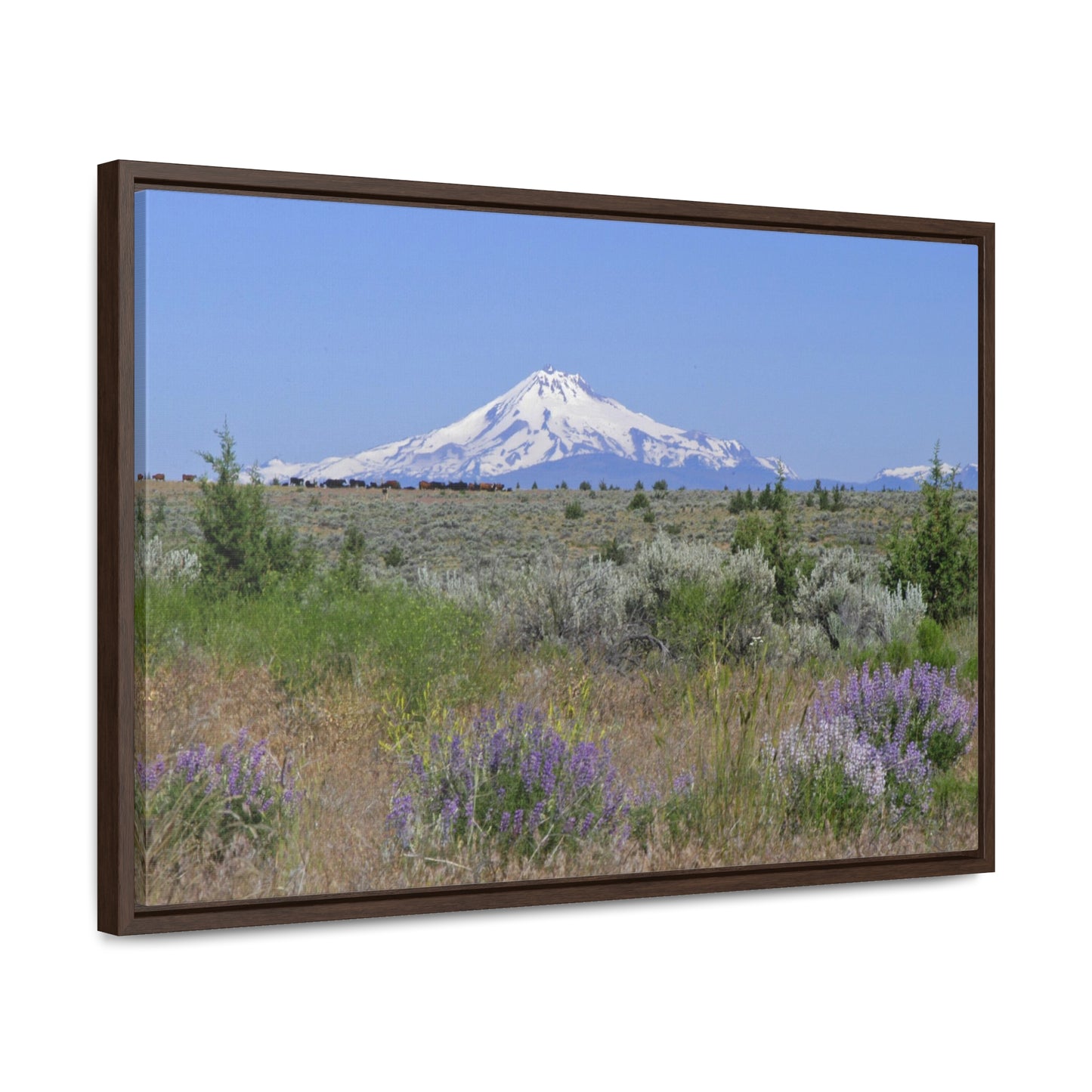 Lupine & Sage Mountain Gallery Canvas Wraps Framed