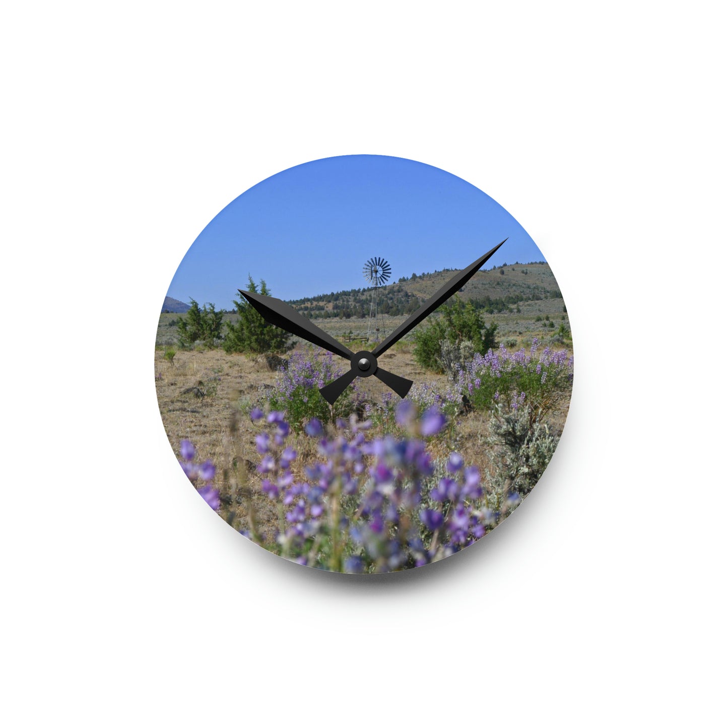 High Desert Lupine & Windmill Acrylic Wall Clock