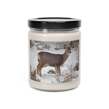 Snowy Deer Scented Soy Candle, 9oz
