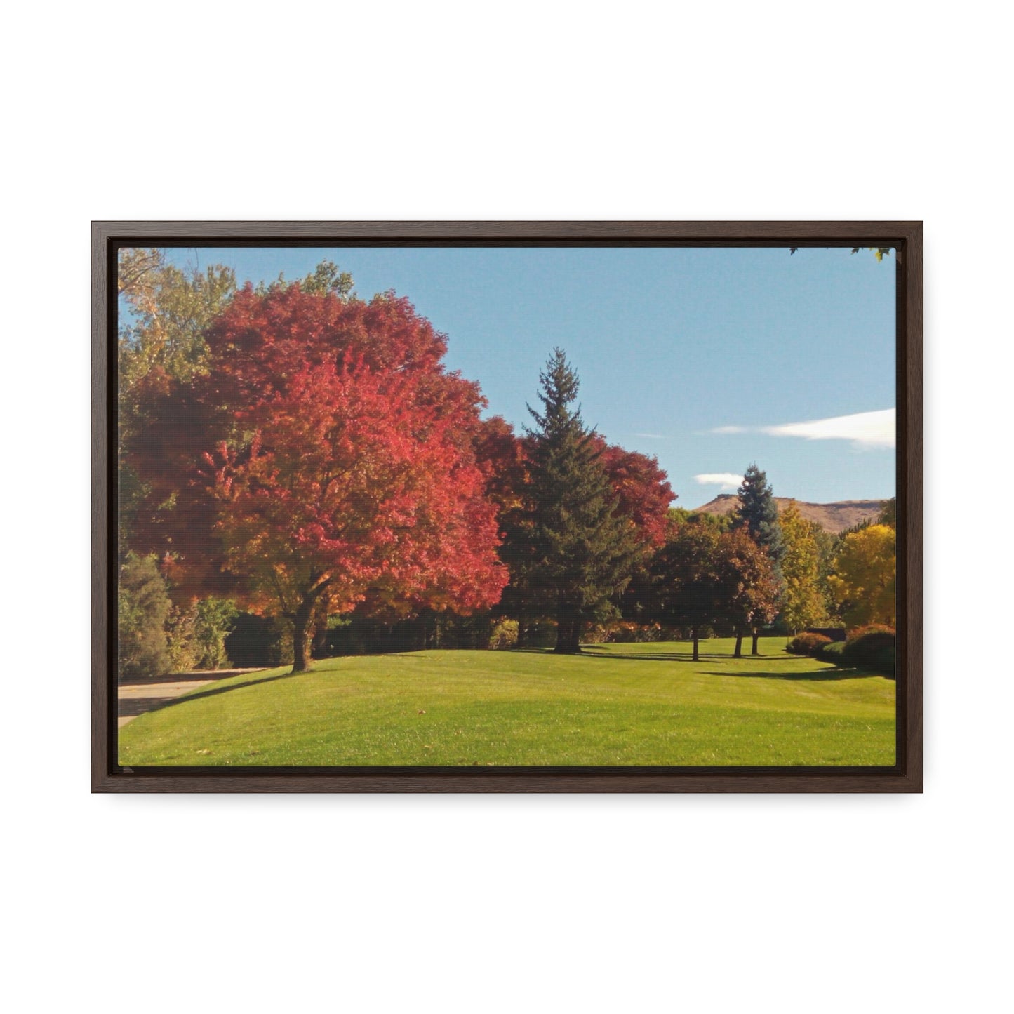 Autumn Lawn Gallery Canvas Wraps Framed