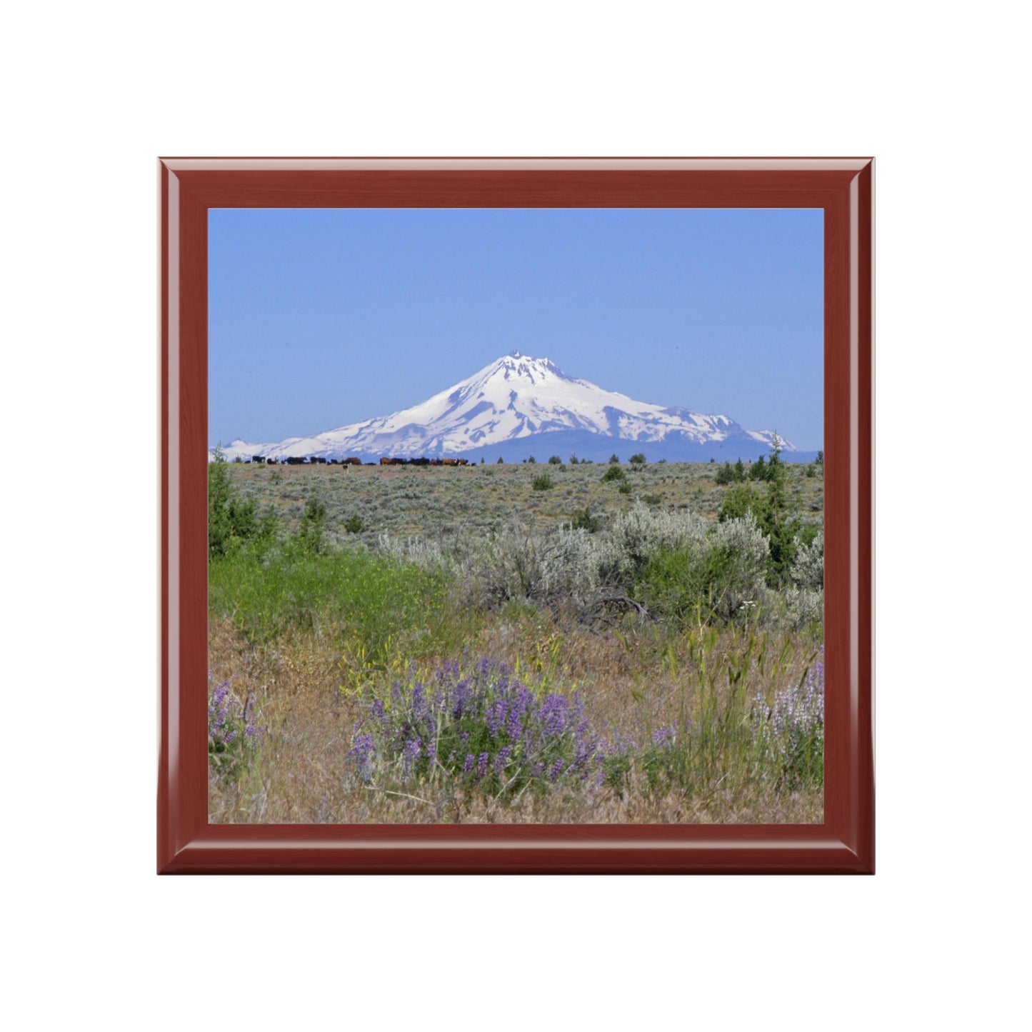 Lupine & Sage Mountain Jewelry Box ~ 7.24"