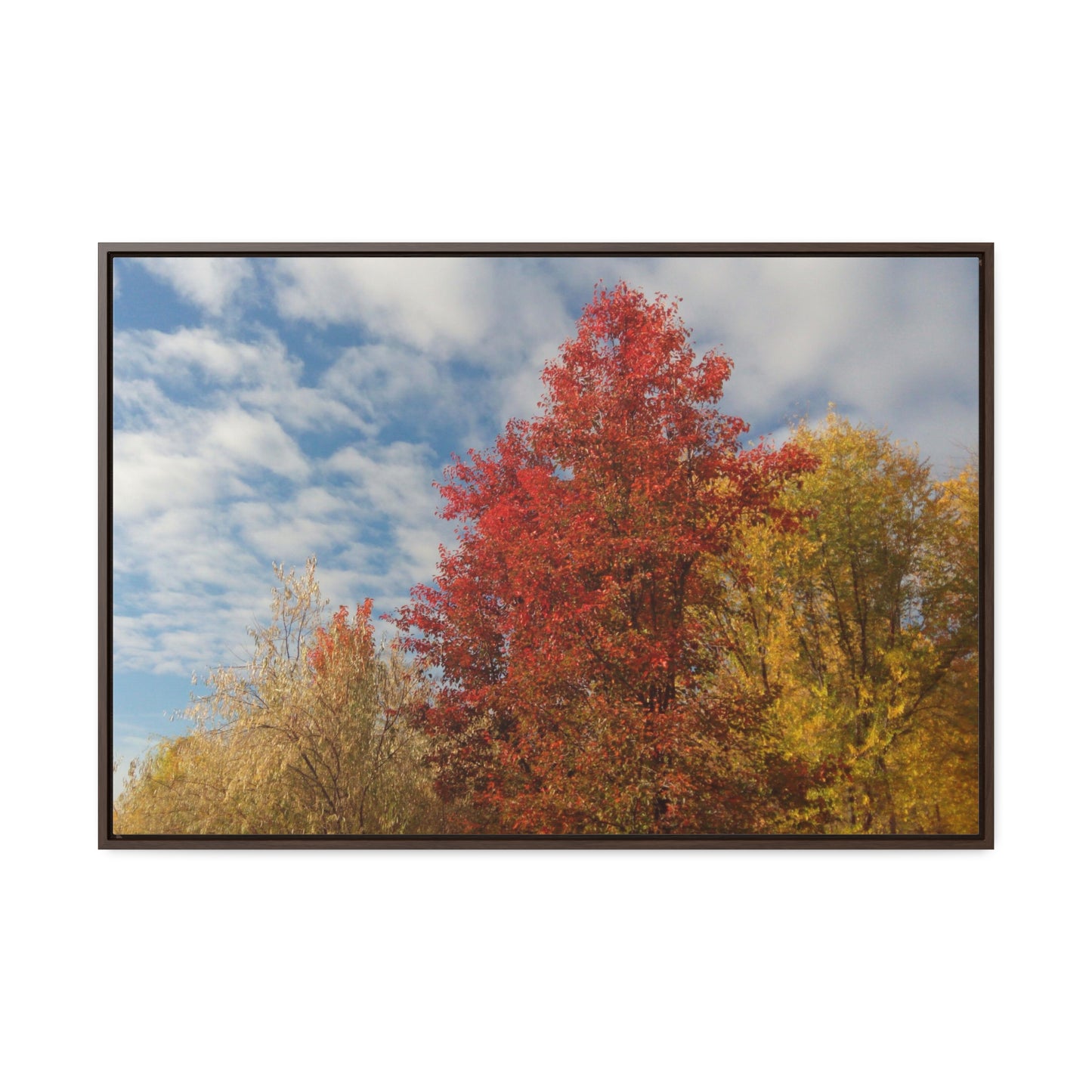 Autumn Sky Gallery Canvas Wraps Framed