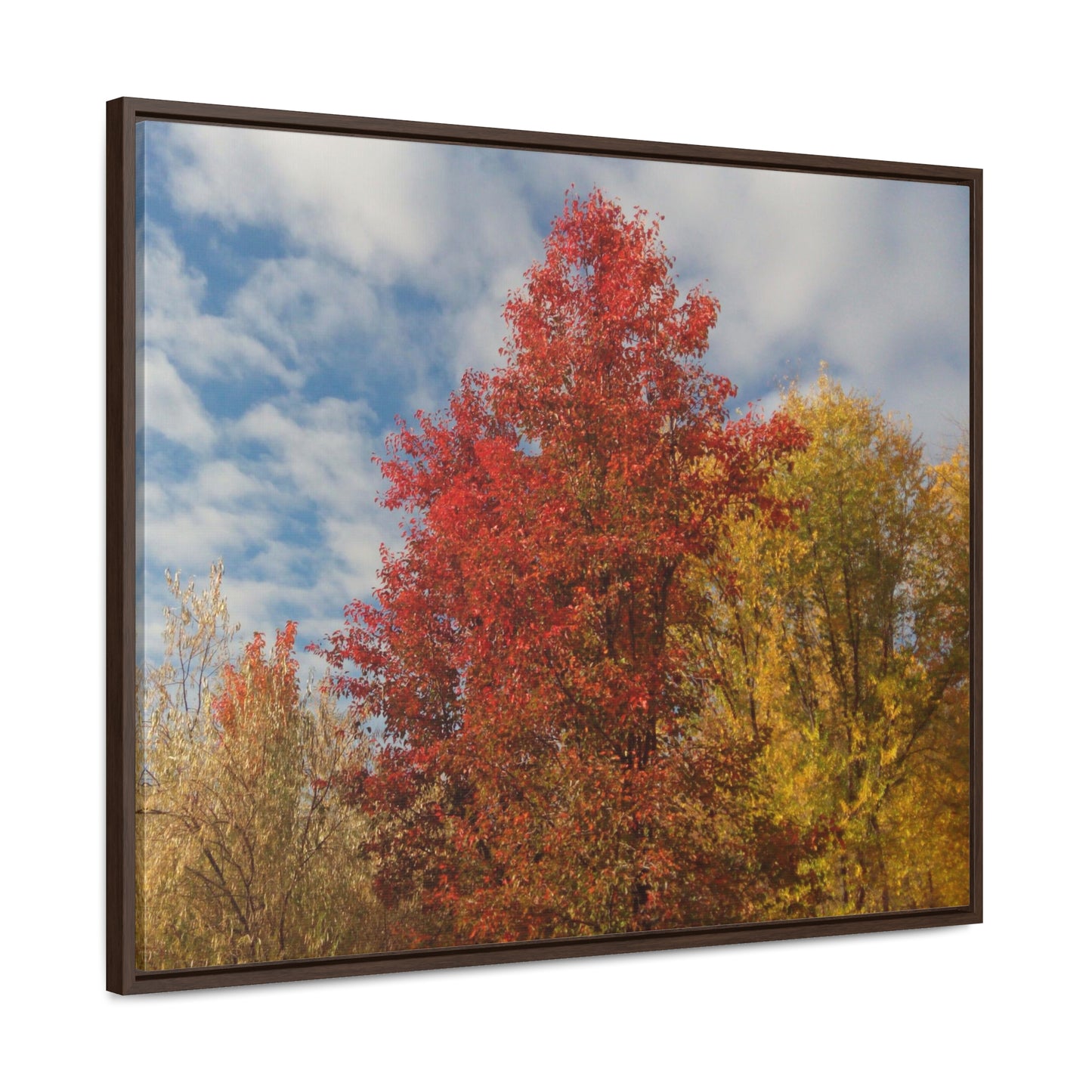 Autumn Sky Gallery Canvas Wraps Framed