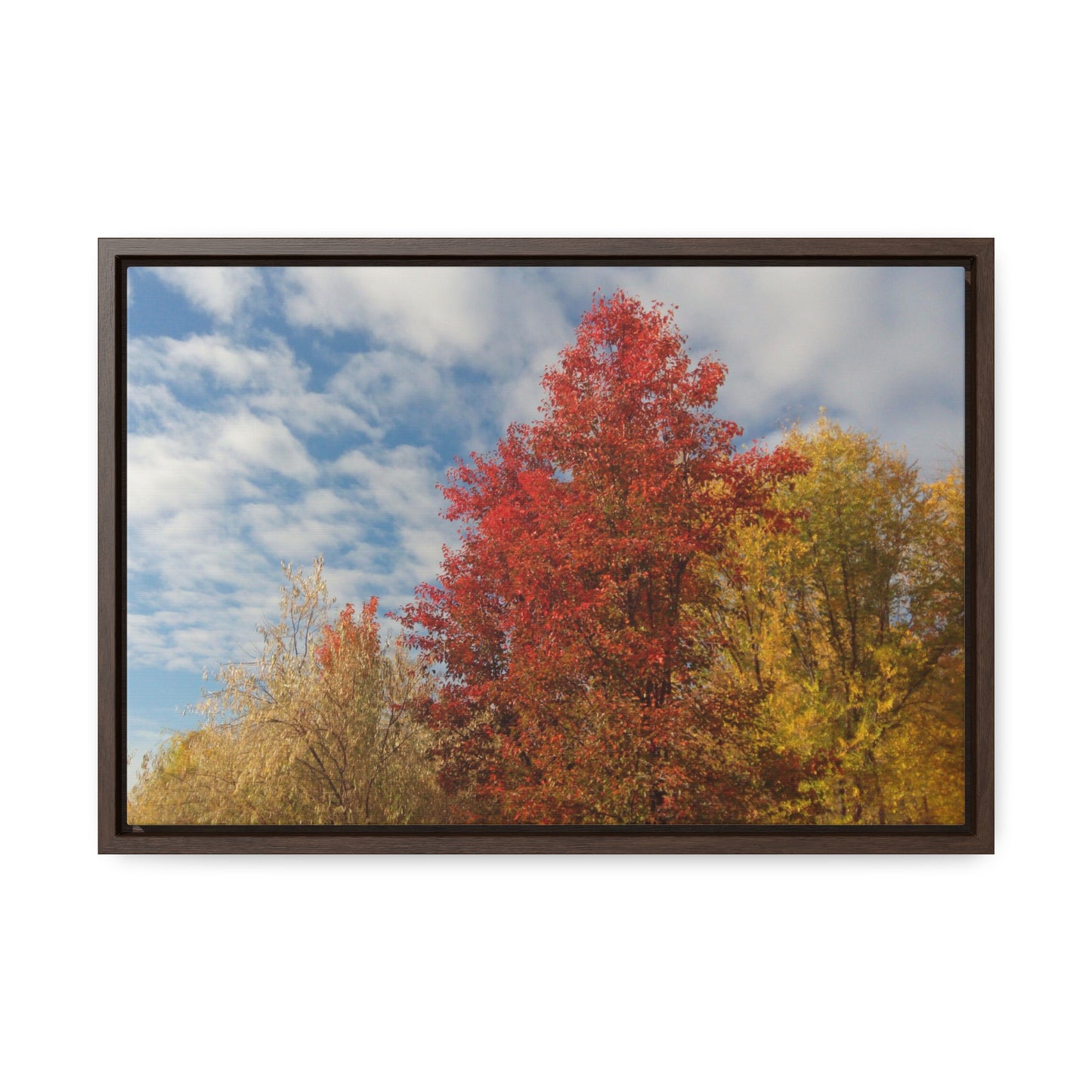 Autumn Sky Gallery Canvas Wraps Framed