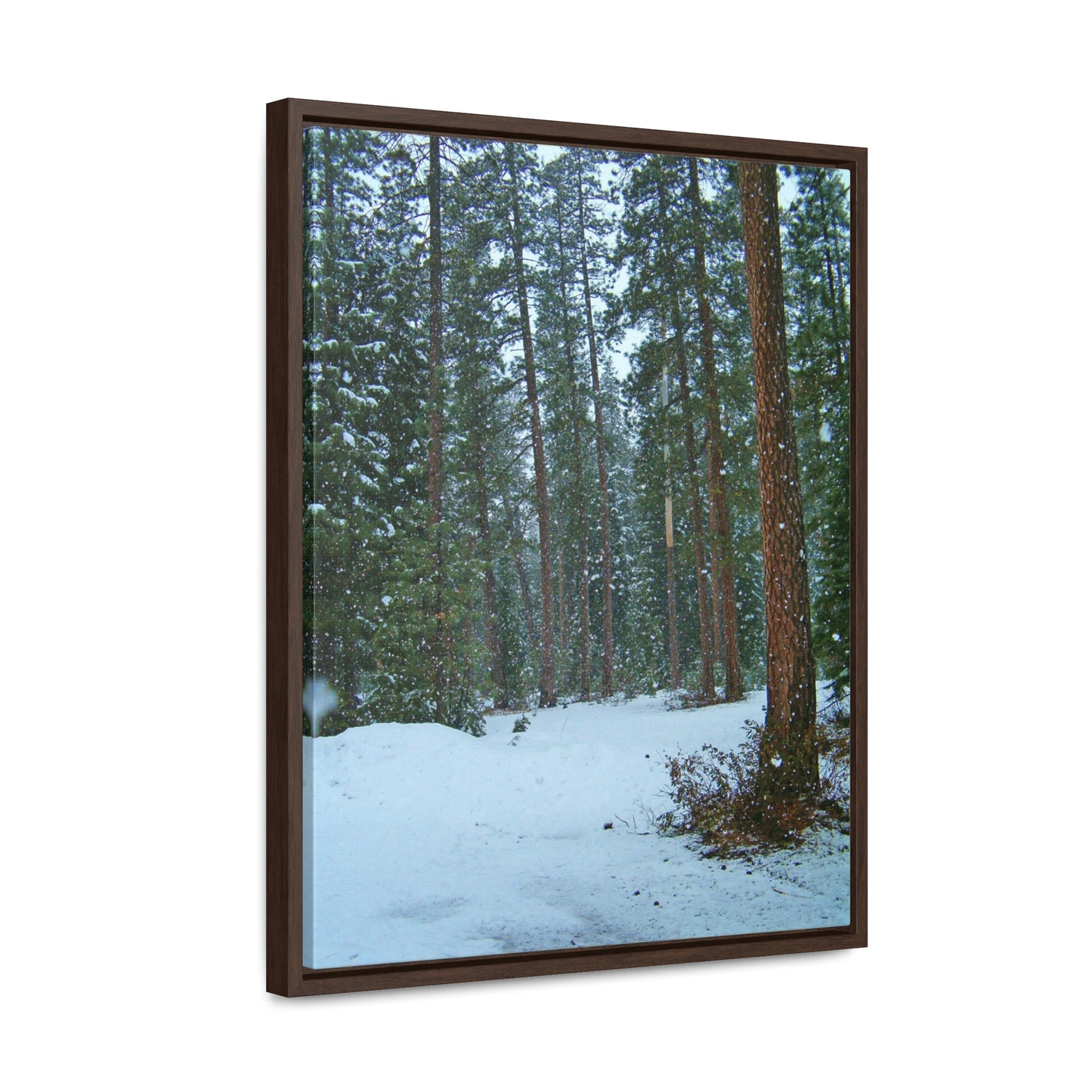 Snowfall Gallery Canvas Wraps Framed