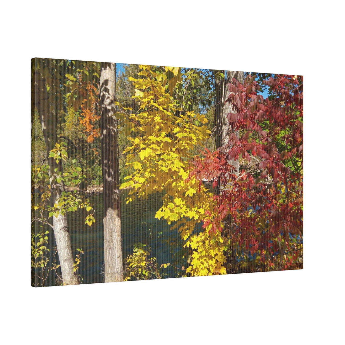 River & Autumn Leaves Matte Canvas