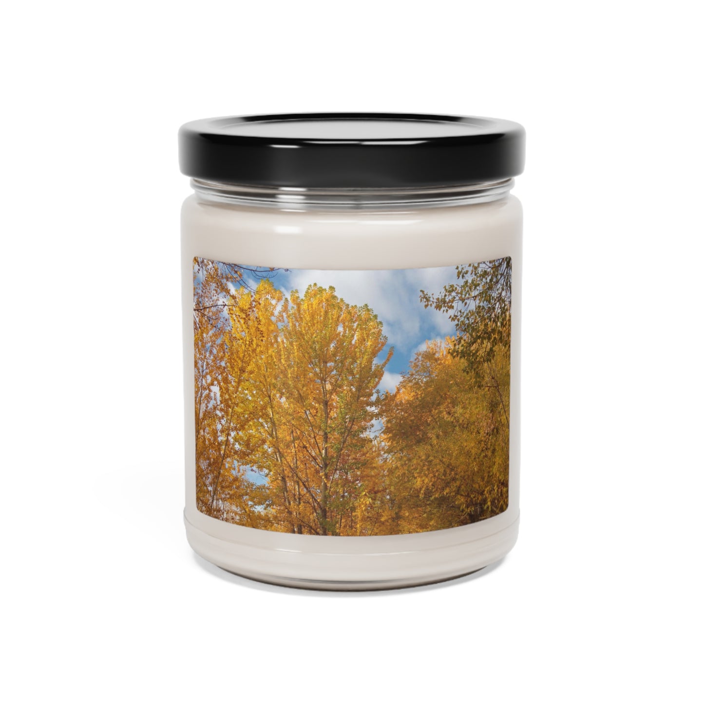 Autumn Gold Scented Soy Candle, 9oz