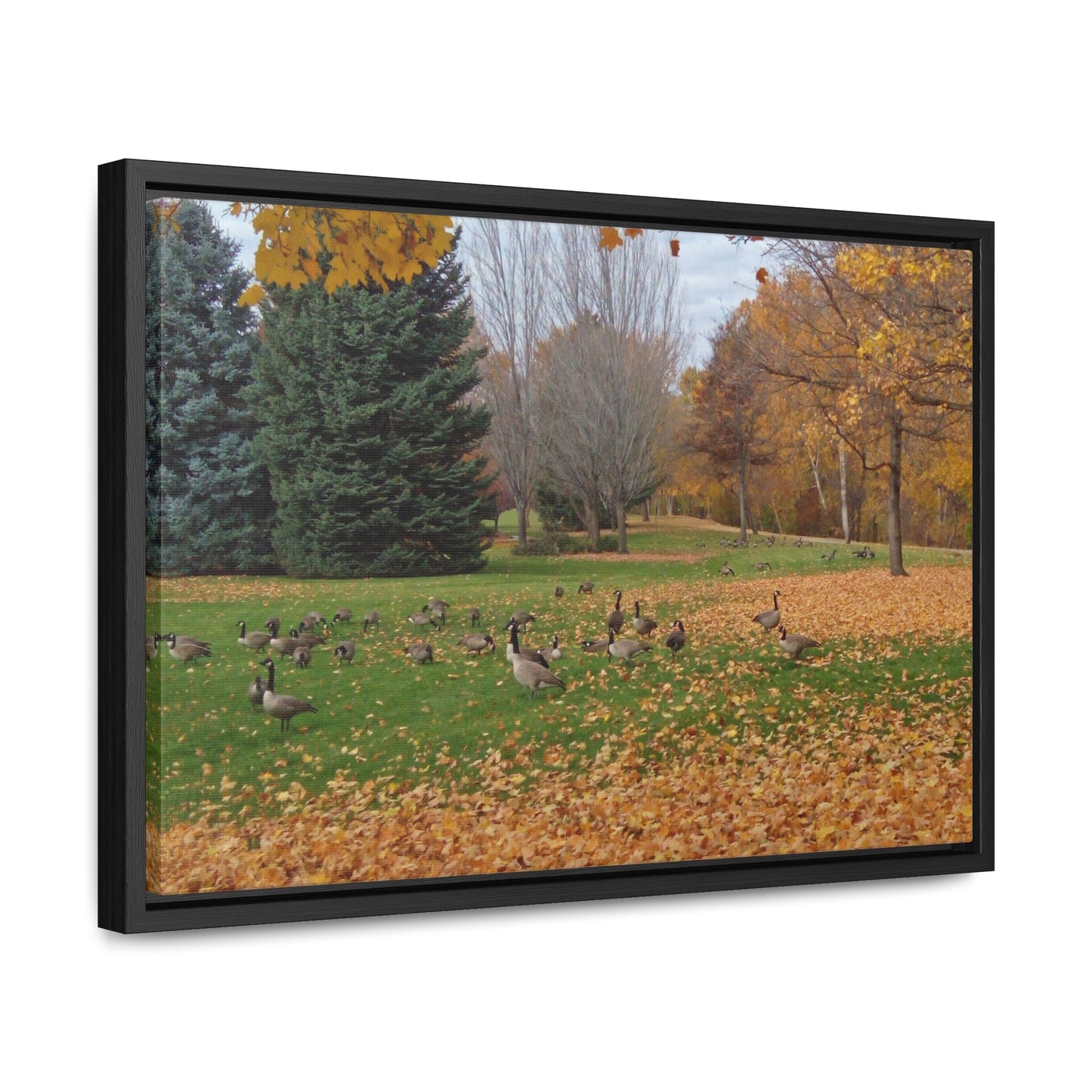 Autumn Geese Gallery Canvas Wraps Framed