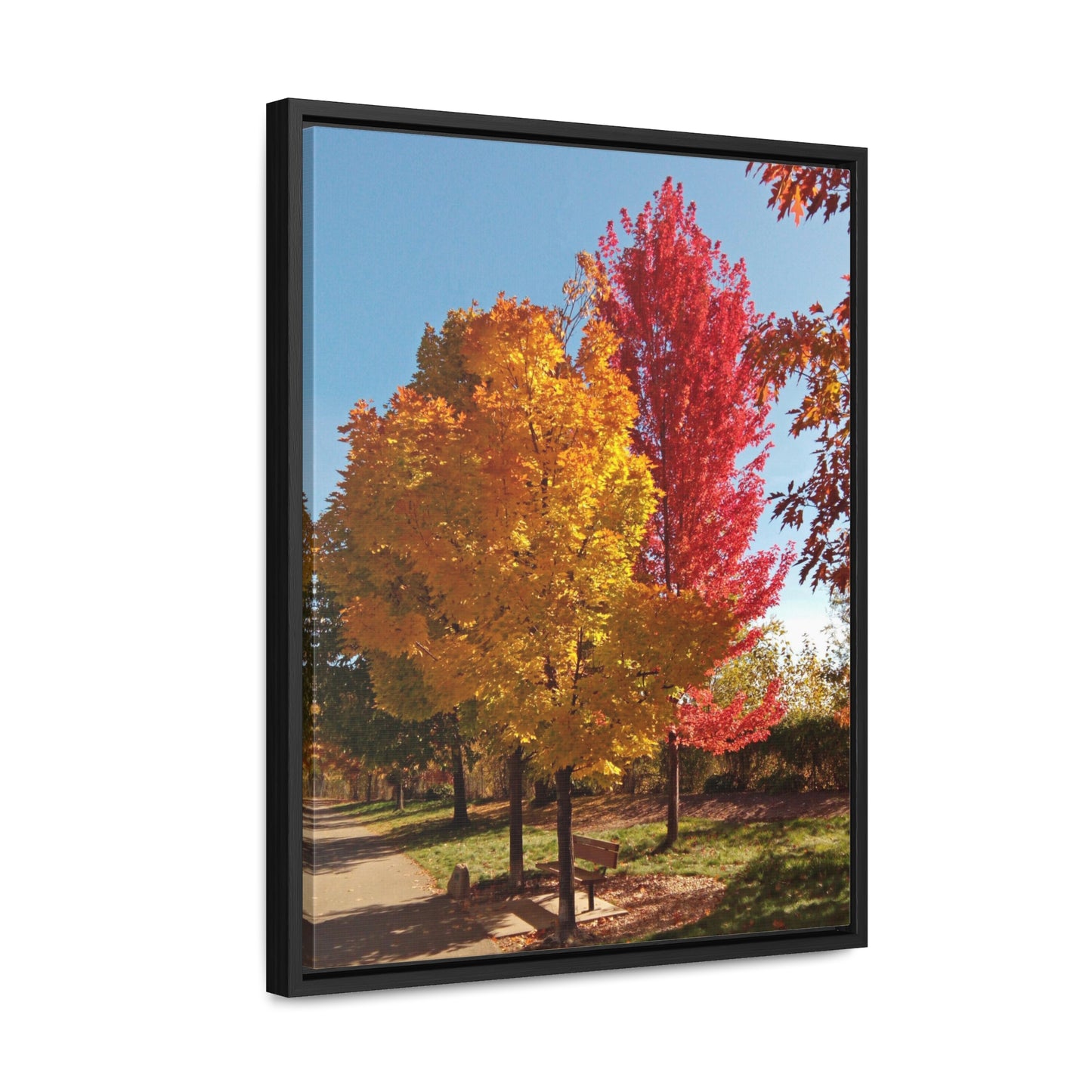 Autumn Bench Gallery Canvas Wraps Framed