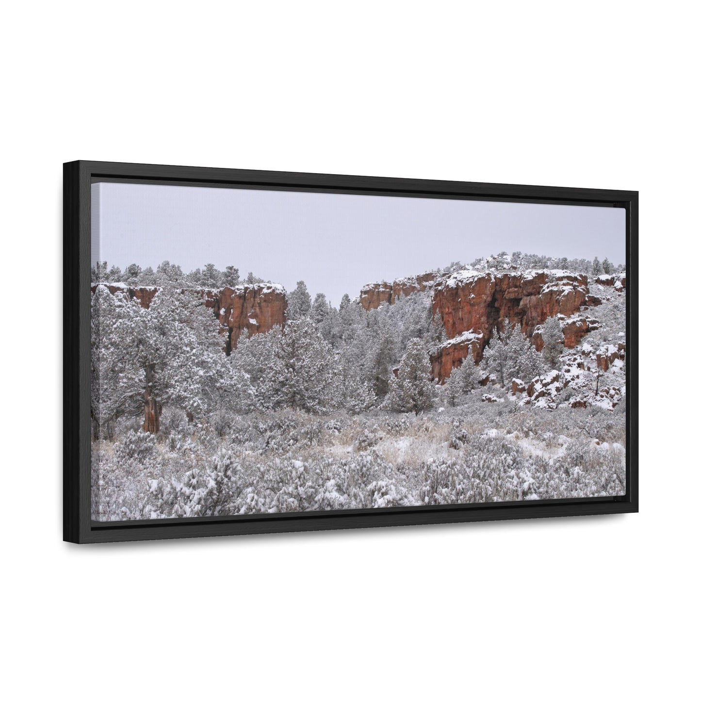 Winter Canyon Gallery Canvas Wraps Framed