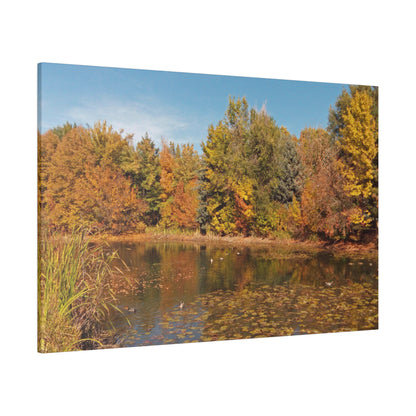 Autumn Duck Pond Matte Canvas