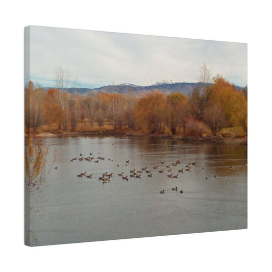 Autumn Pond with Geese Matte Canvas