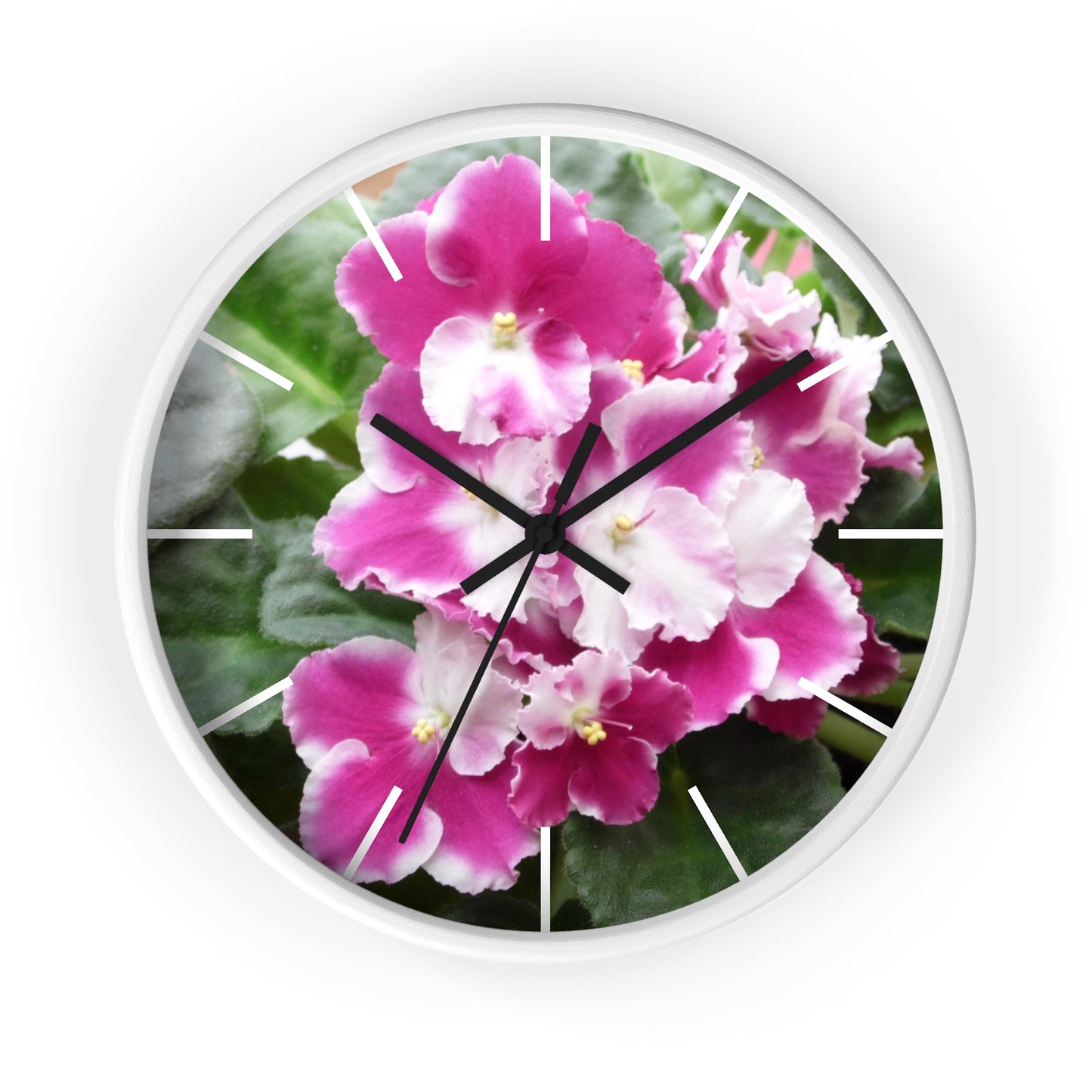 African Violet Framed Wall Clock