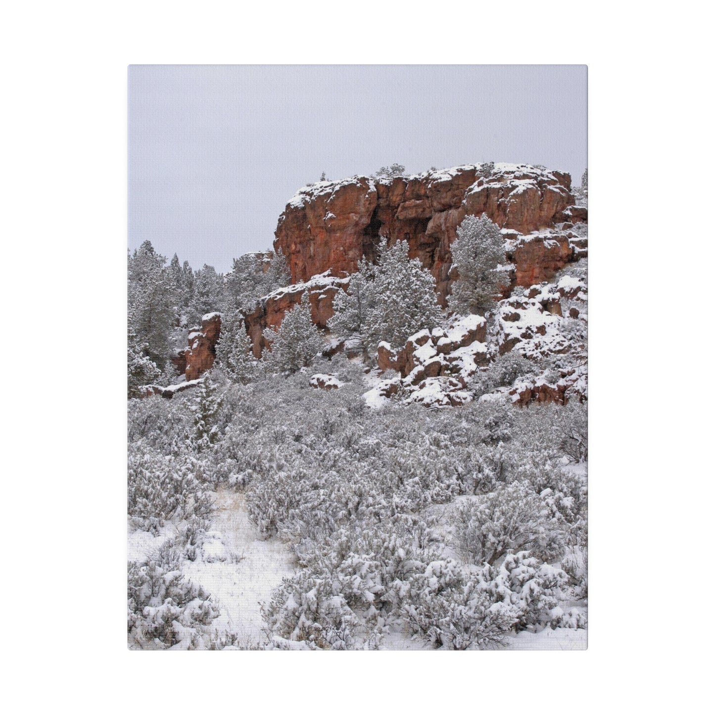 Winter Cliff Matte Canvas