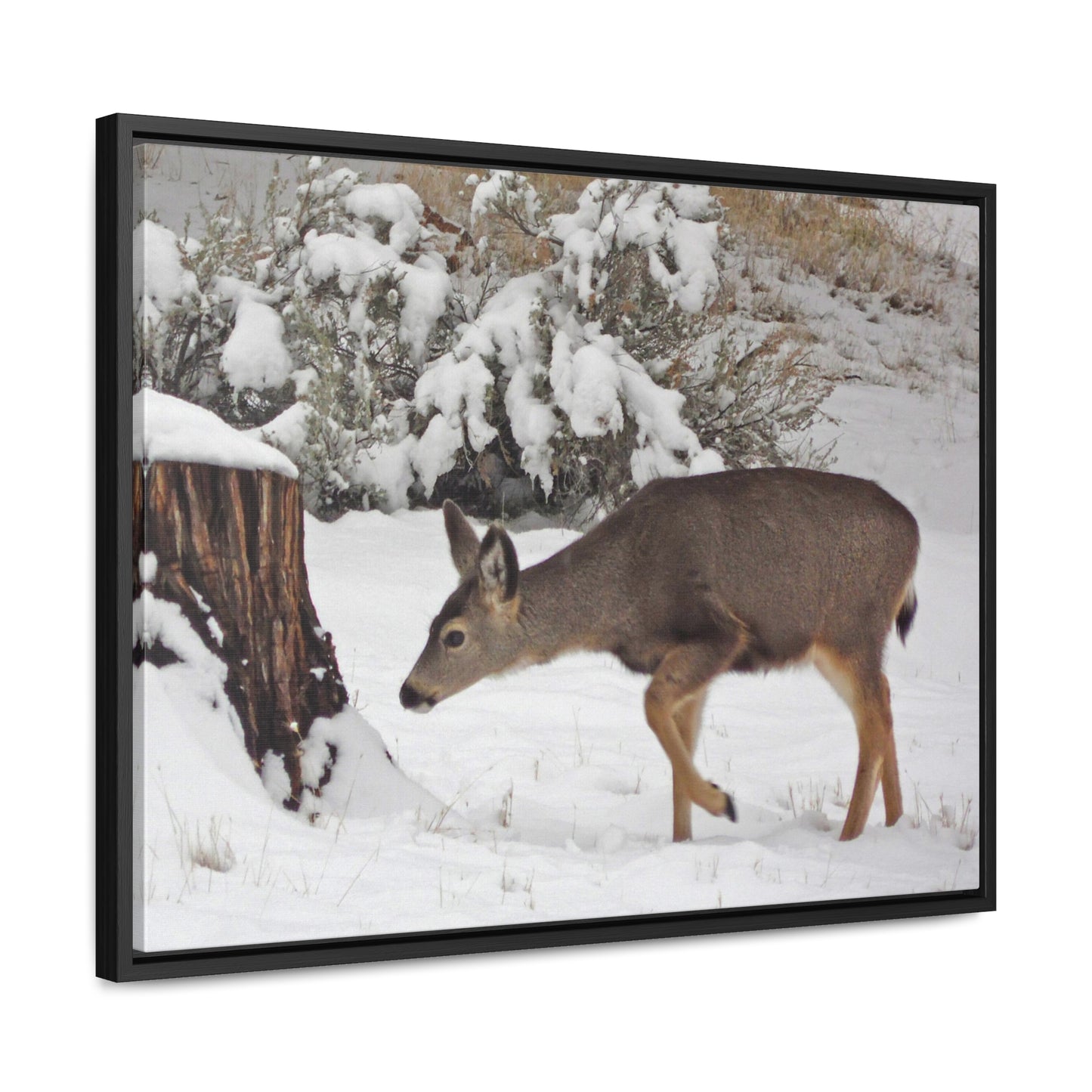 Winter Deer Gallery Canvas Wraps Framed