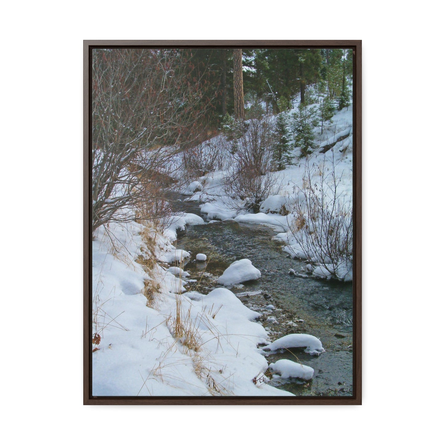 Snowy Creek Gallery Canvas Wraps Framed