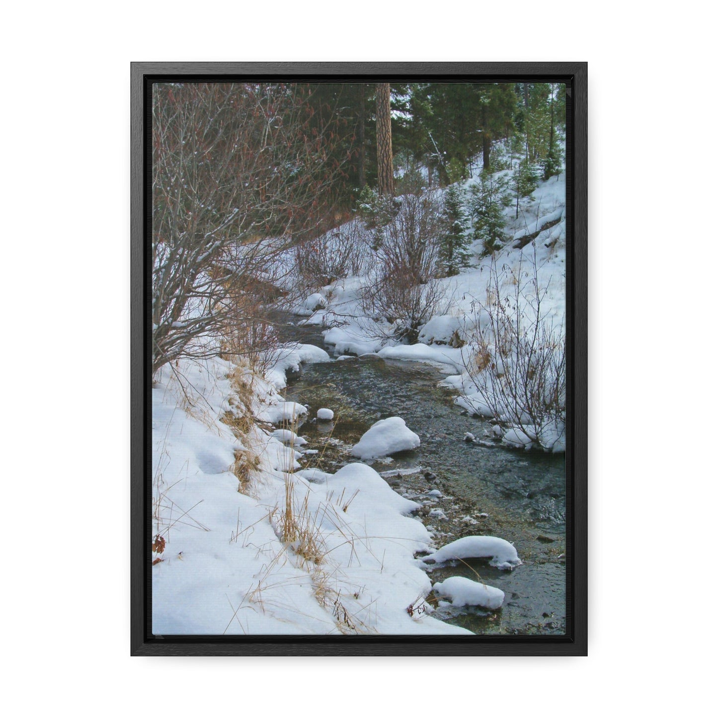 Snowy Creek Gallery Canvas Wraps Framed