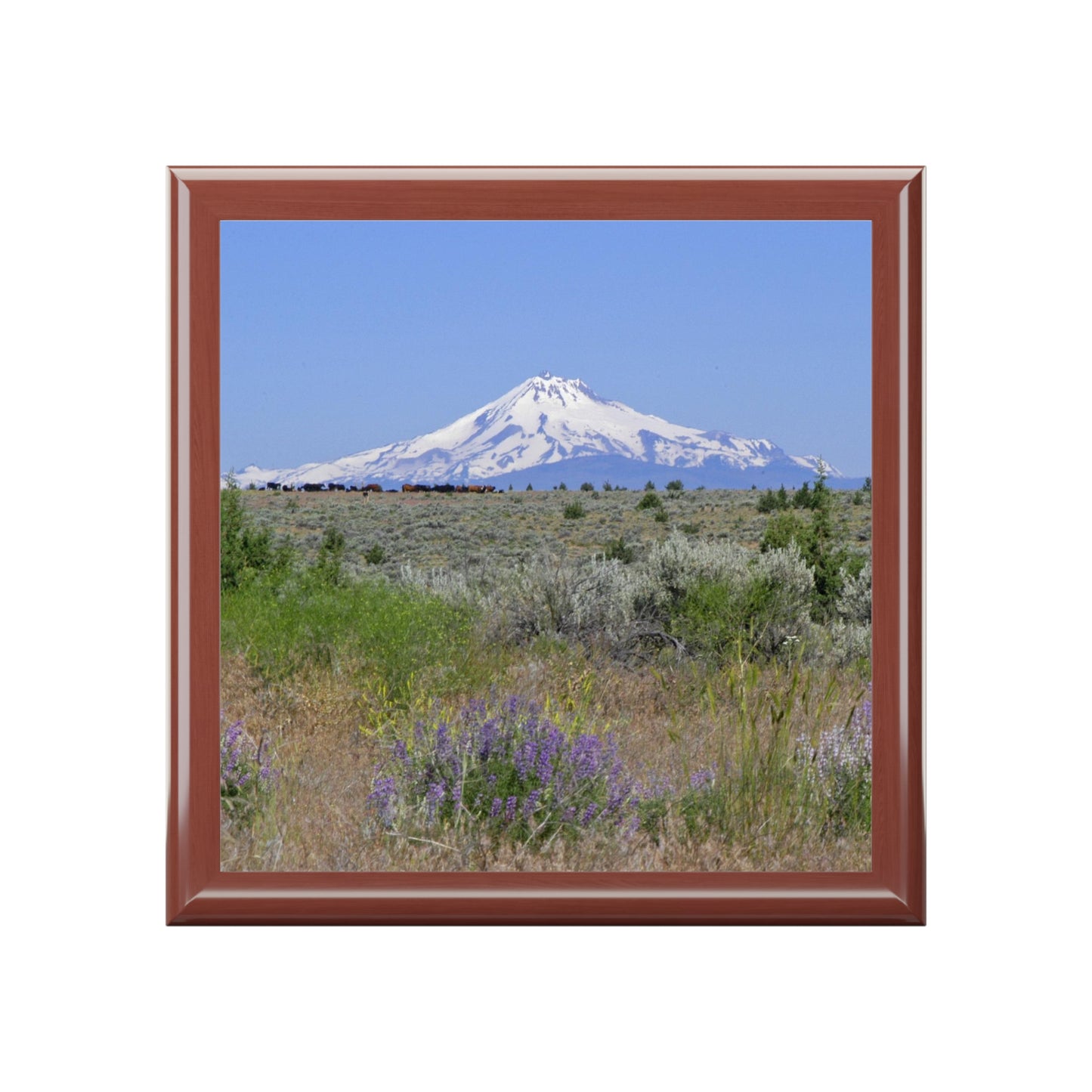 Lupine & Sage Mountain Jewelry Box ~ 7.24"
