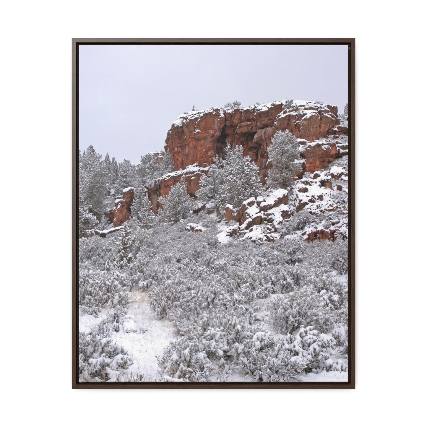 Winter Cliff Gallery Canvas Wraps Framed