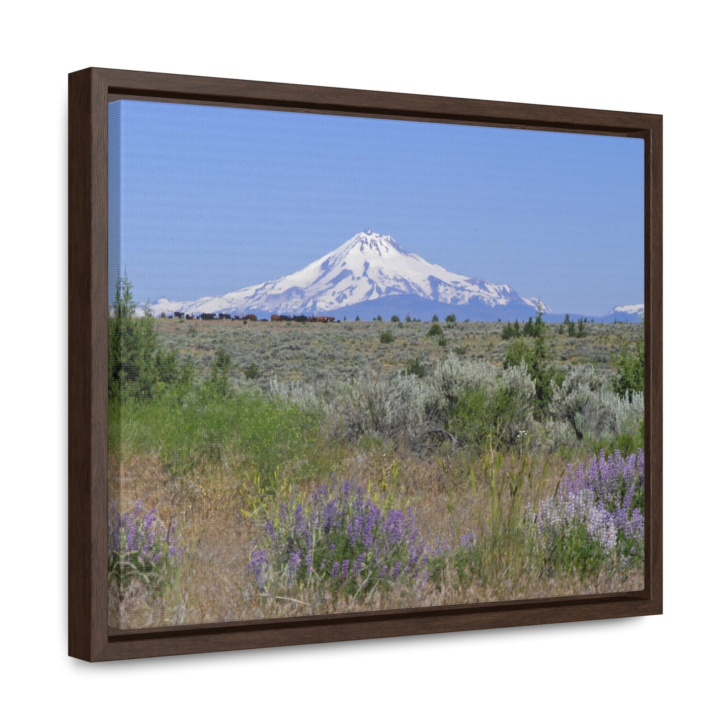 Lupine & Sage Mountain Gallery Canvas Wraps Framed