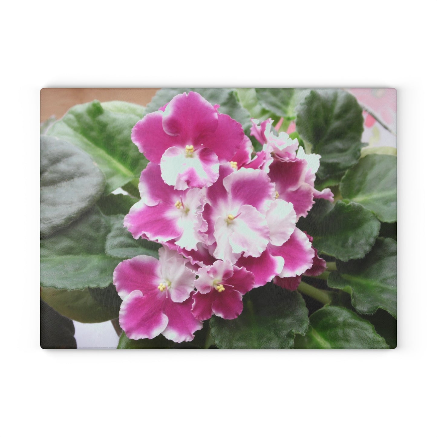 African Violets Glass Cutting Board Hand Wash