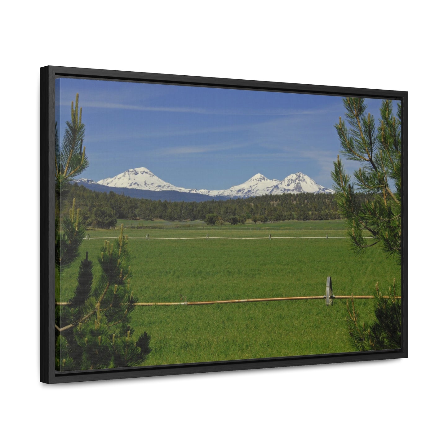 Mountain Pasture Gallery Canvas Wrap Framed