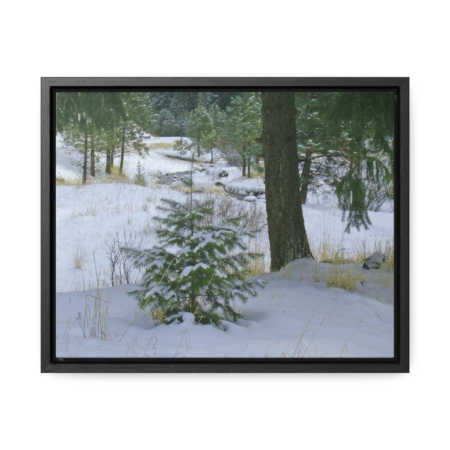 Christmas Tree Creek Gallery Canvas Wraps Framed