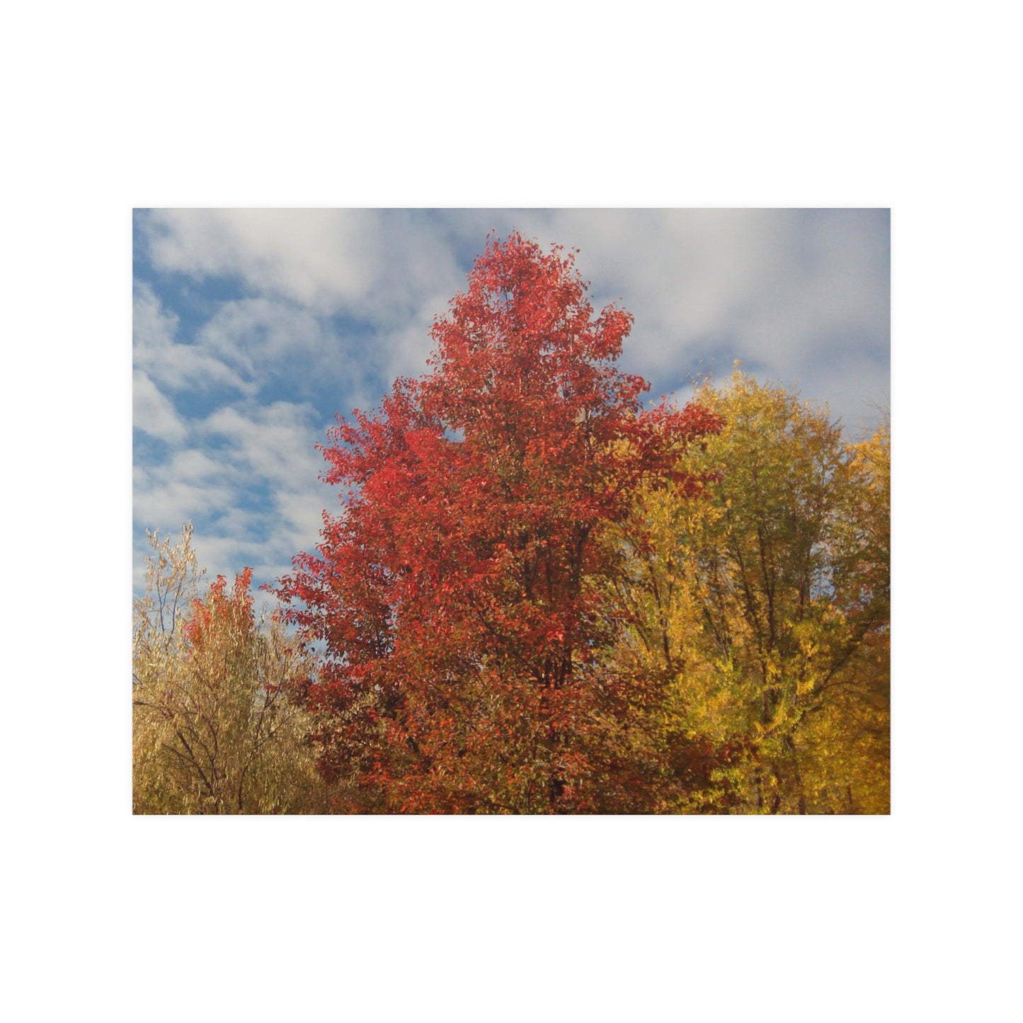 Autumn Sky Satin Posters