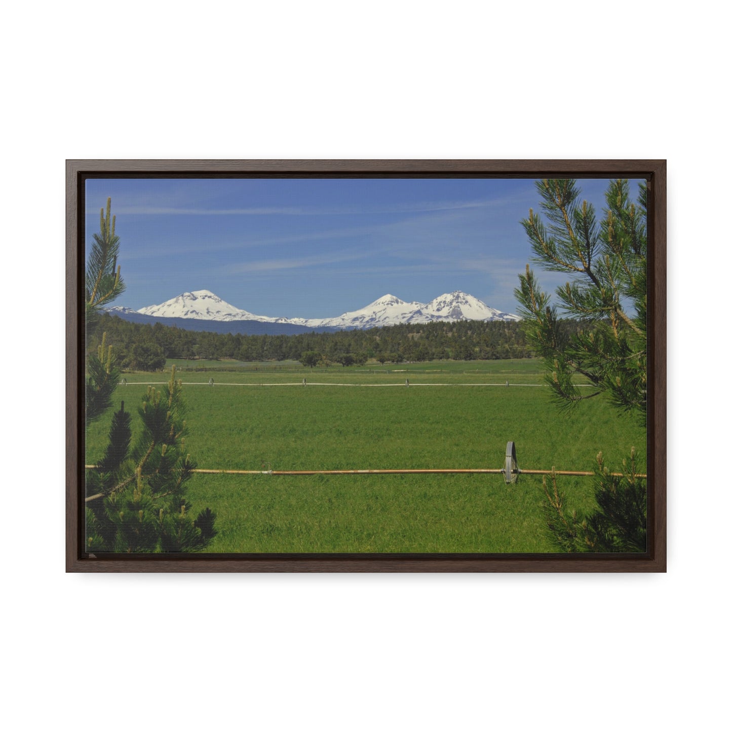 Mountain Pasture Gallery Canvas Wrap Framed