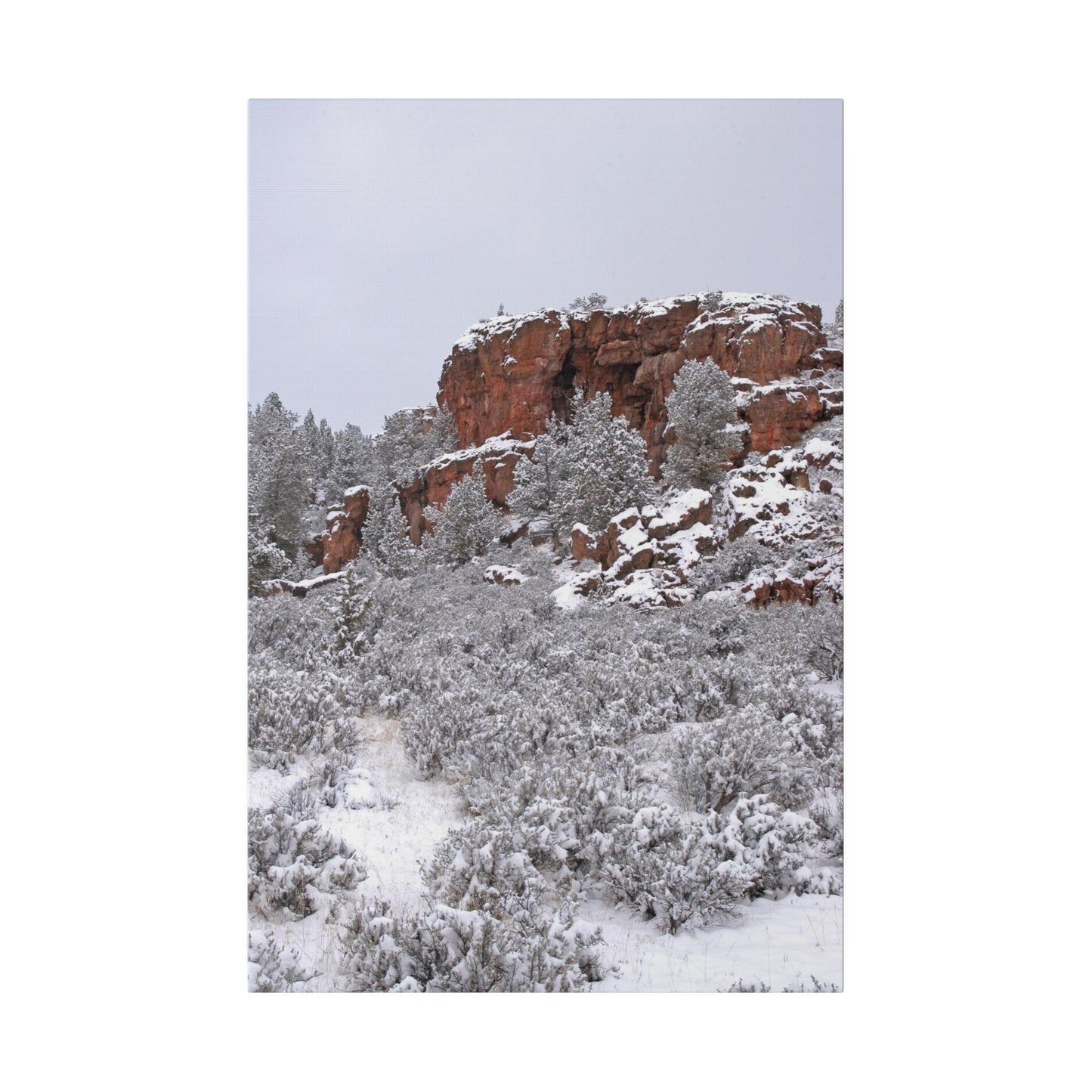 Winter Cliff Matte Canvas