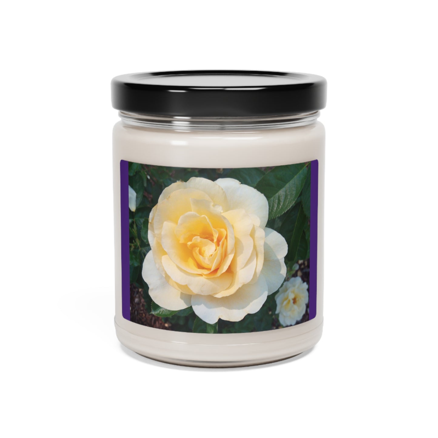 Cream Rose Scented Soy Candle, 9oz