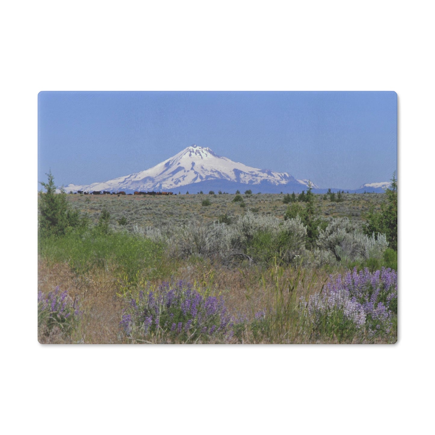 Lupine & Sage Mountain Cutting Board Dishwasher Safe