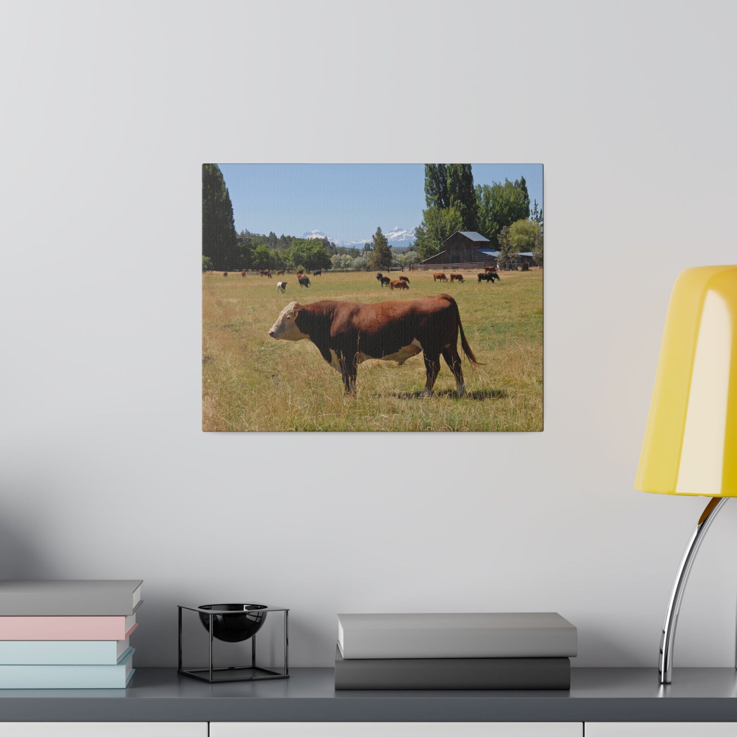 King Of The Pasture Matte Canvas