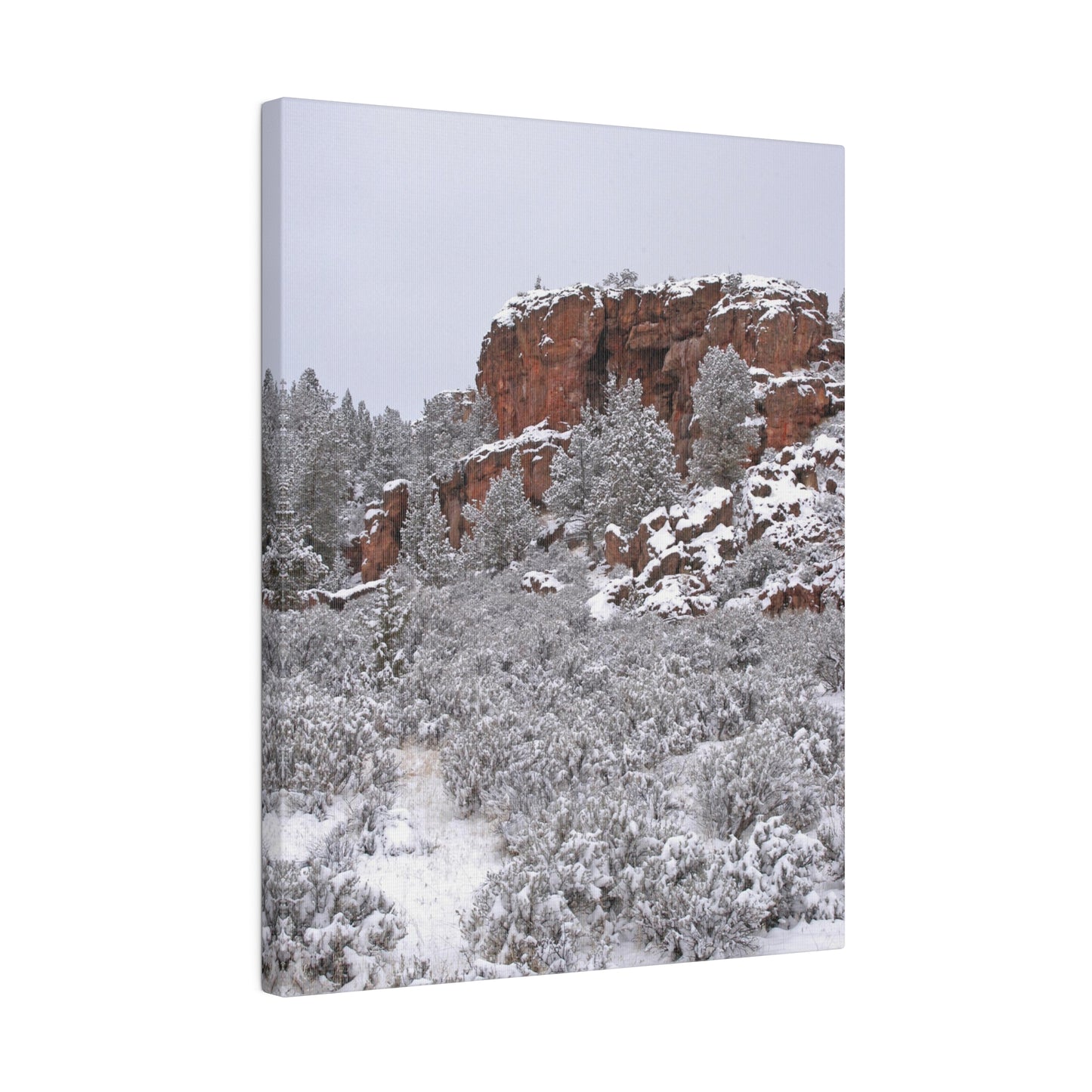 Winter Cliff Matte Canvas