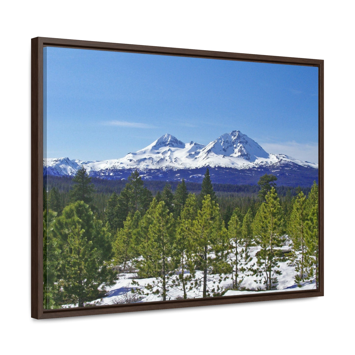 Winter Two Sisters Gallery Canvas Wraps Framed