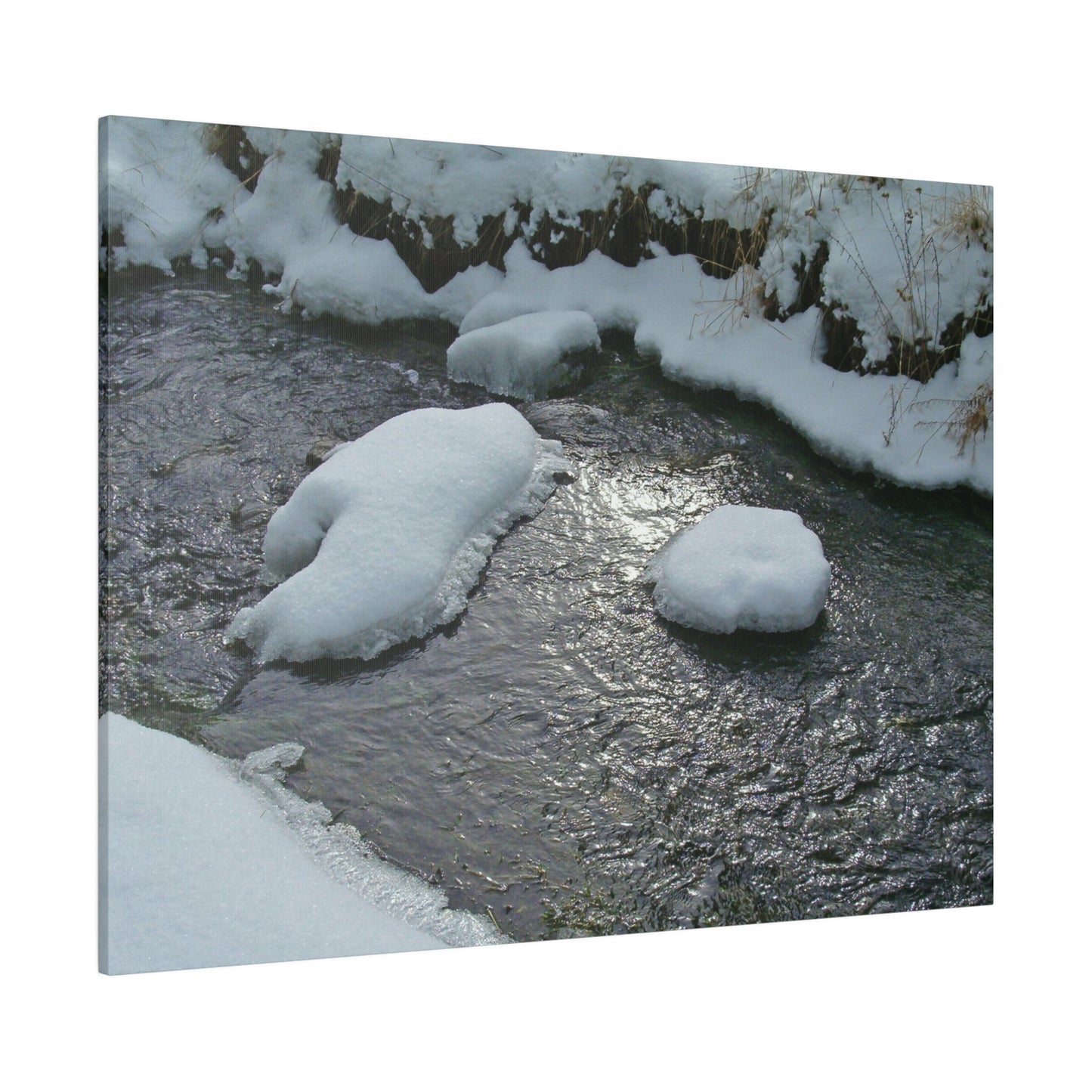 Winter Reflection Matte Canvas
