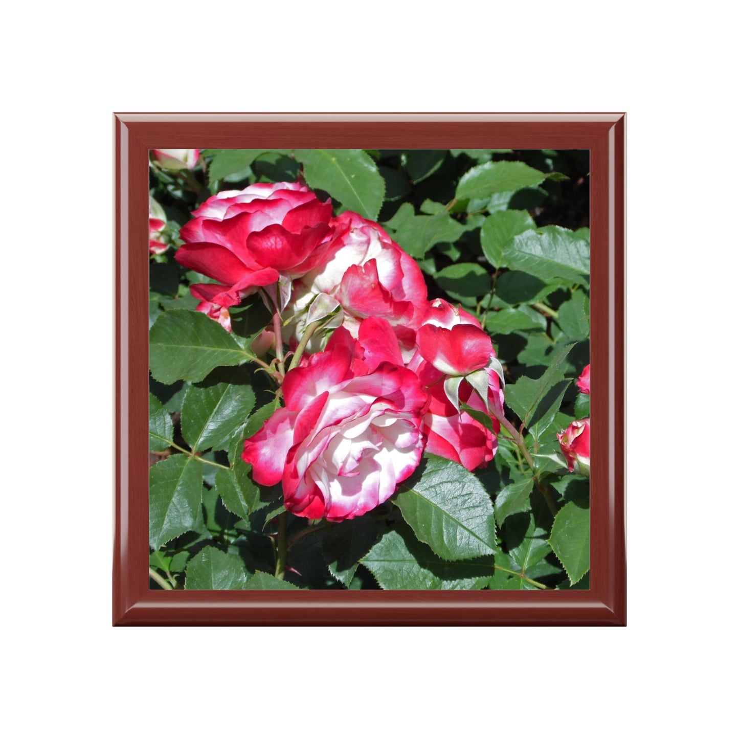 Romantic Roses Jewelry Box ~ 7.24"