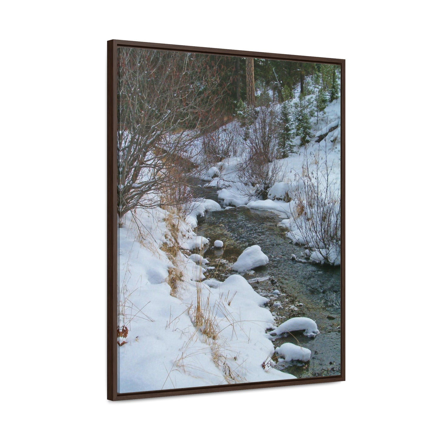 Snowy Creek Gallery Canvas Wraps Framed