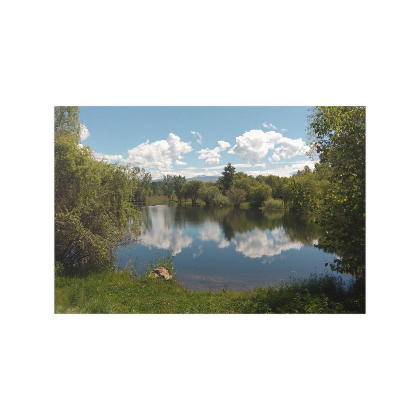 Peaceful Pond Satin Paper Posters