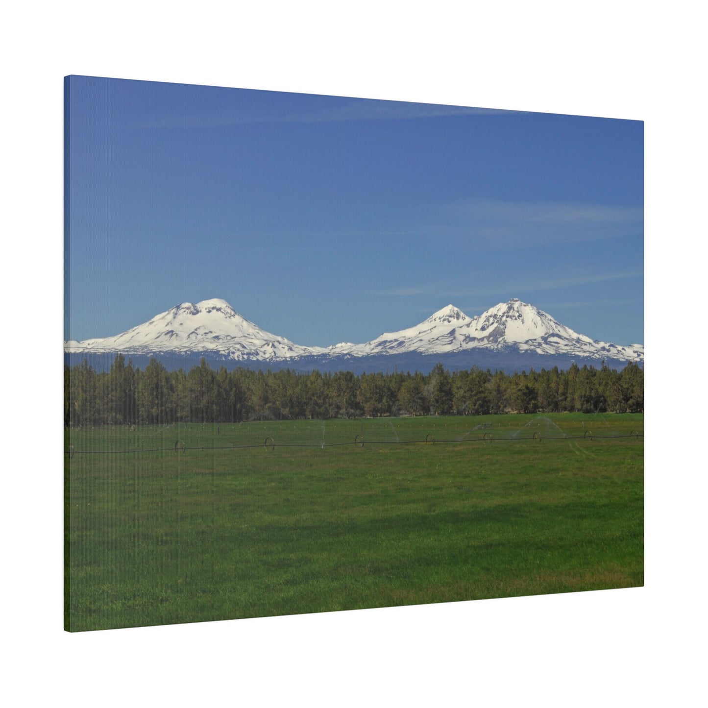 Mountain Field Matte Canvas